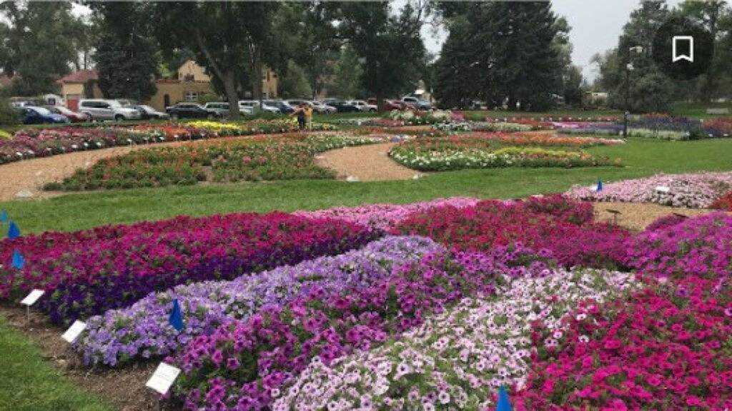 Walk to Old Town und Csu ... Exquisite! in Fort Collins, Larimer County