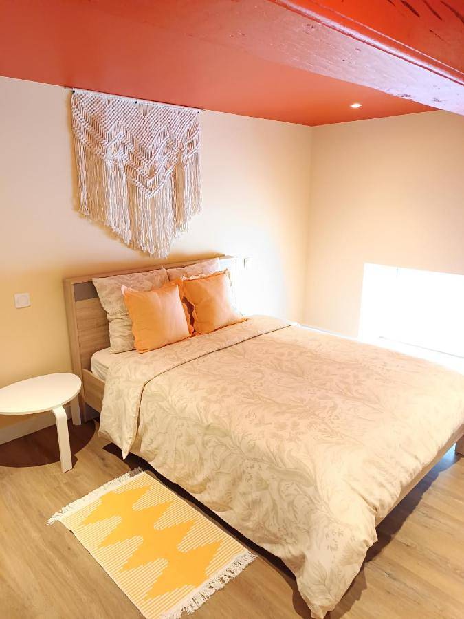 Appartement entier, Duplex accès de plein pied, spacieux lumineux in Joncy, Région de Charolles