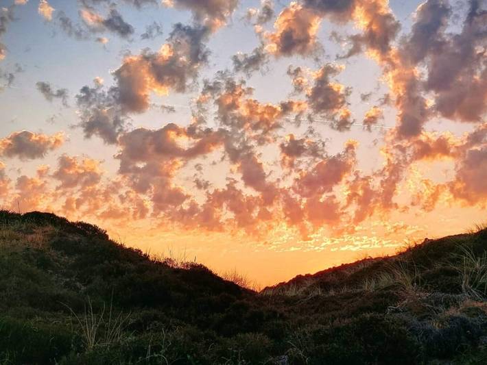 Ferienhaus für 8 Personen, mit Terrasse in Henne Strand - 2