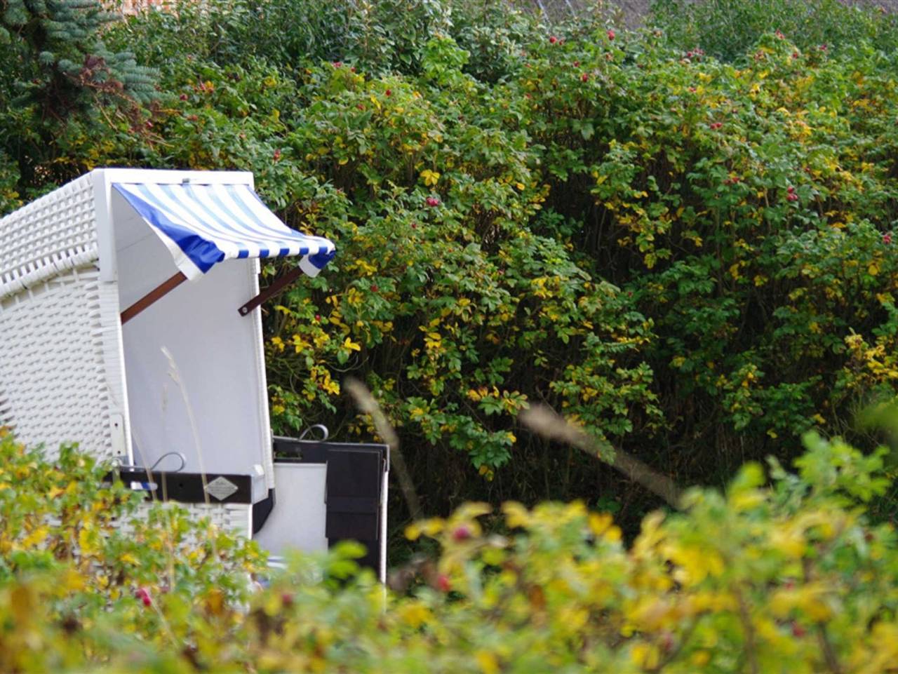Ganze Ferienwohnung, Rantumer Süderhüs in Rantum, Sylt (Gemeinde)