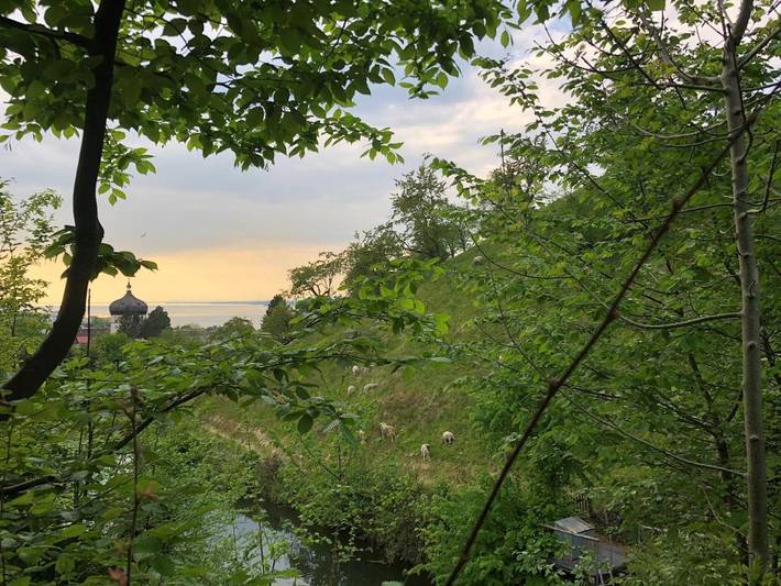 Vakantiewoning voor 3 personen, with uitzicht op het meer and tuin as well as uitzicht in Bregenz