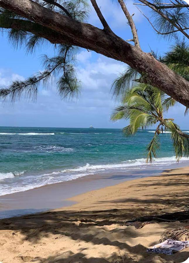 Gîte pour 2 personnes, avec jardin et terrasse dans Anse l'Etang - 3