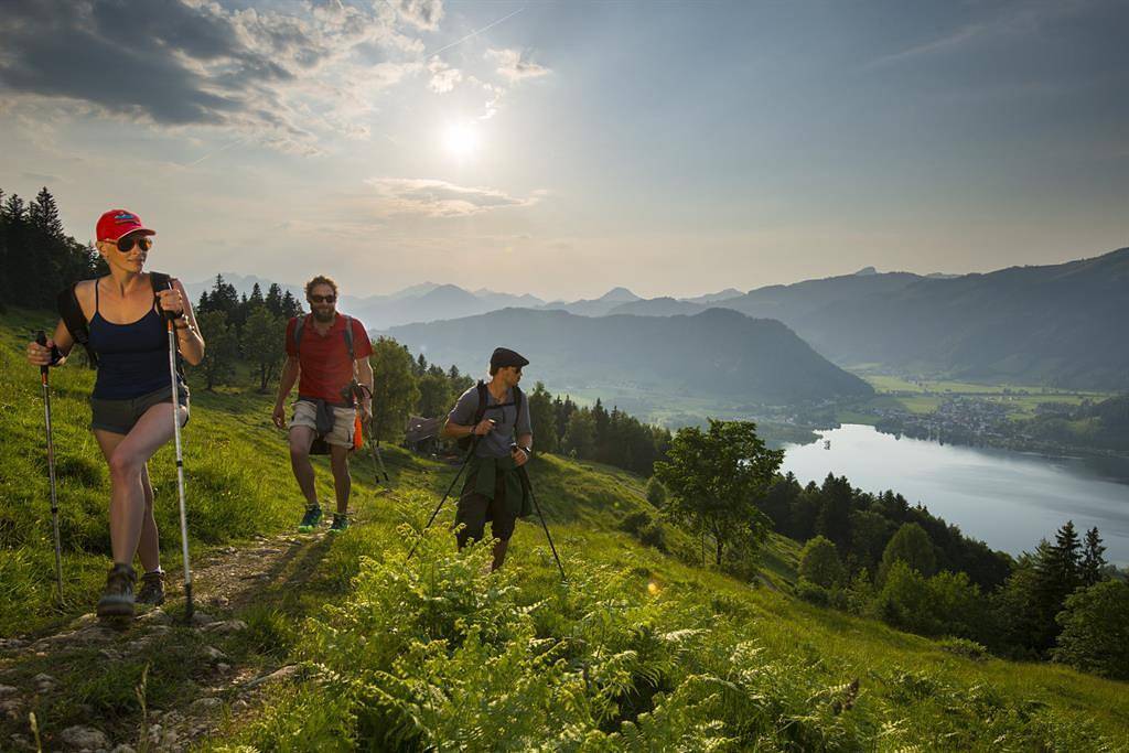 Ganze Ferienwohnung, Apartm."3"/Wohn-Schlafraum/Dusche, Wc in Walchsee, Kaisergebirge