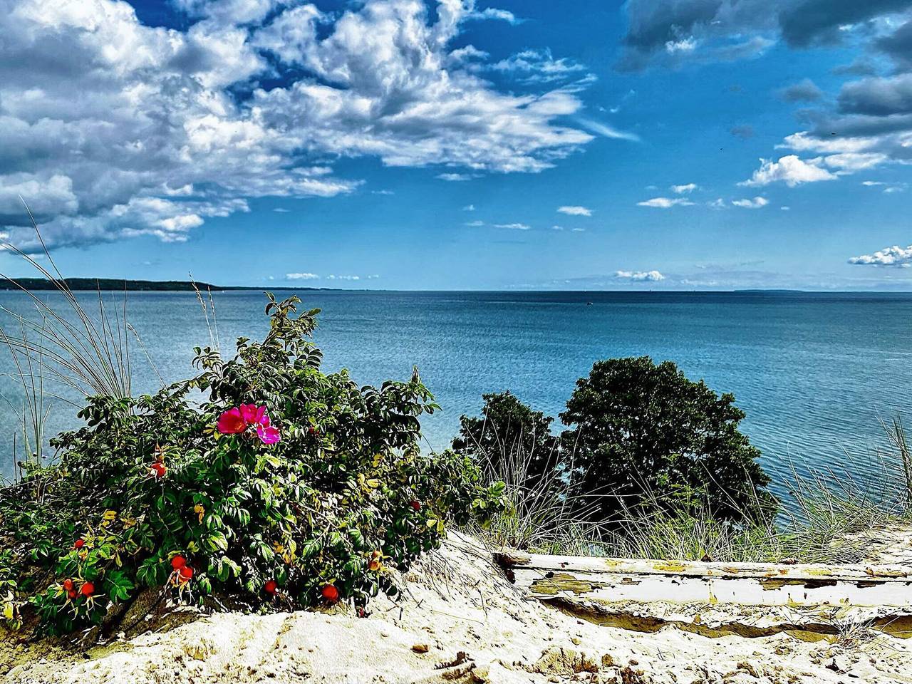 Sjarm ved sjoen med utsikt in Mørkholt, Børkop 