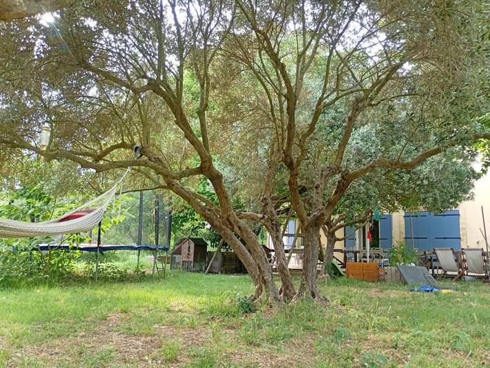 Chambre d’hôte pour 6 personnes, avec jardin et terrasse à Monteux - 2