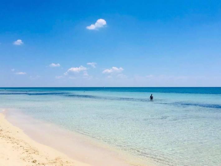 Location de vacances pour 5 personnes, avec jardin à San Pietro In Bevagna - 2