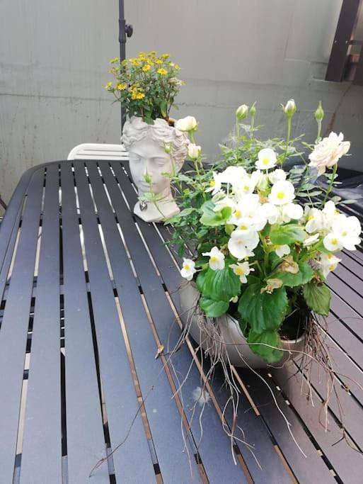 Ferienwohnung für 4 Personen, mit Balkon und Terrasse sowie Garten und Ausblick in Deidesheim - 3