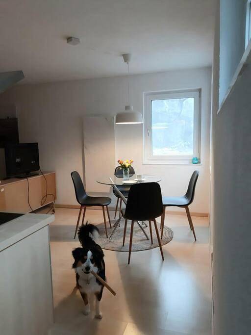 Ganze Wohnung, One-Bedroom Apartment in Hechingen, Neckar-Alb