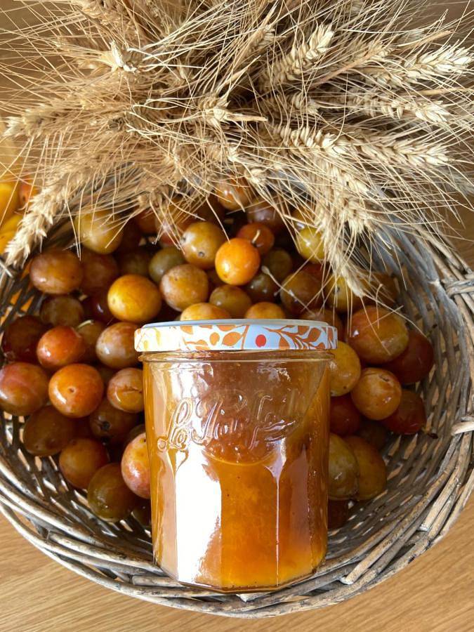 Gîte pour 4 personnes à Contrexéville - 3