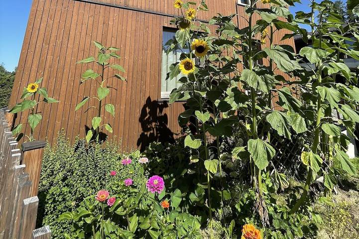 Ferienhaus für 3 Personen, mit Terrasse und Garten in Salzweg