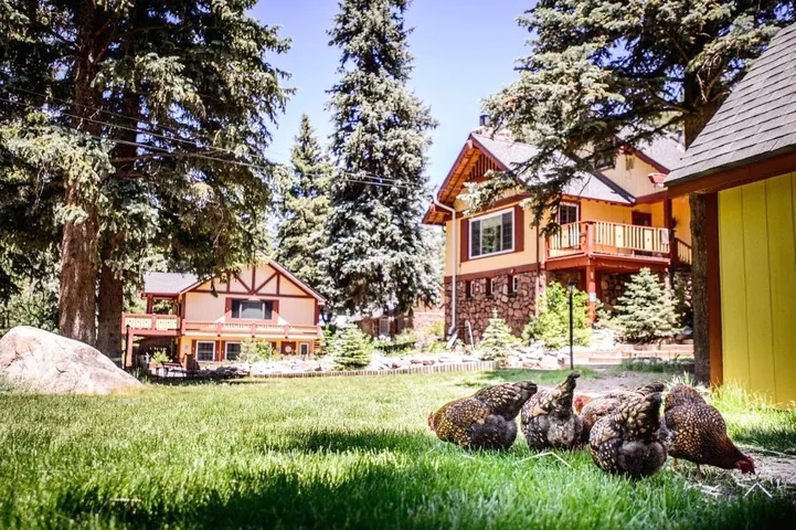 Lodge für 3 Personen, mit Whirlpool und Garten - 1