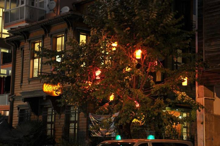 Chambre d’hôte pour 2 personnes, avec vue et jardin, animaux acceptés à Istanbul - 3