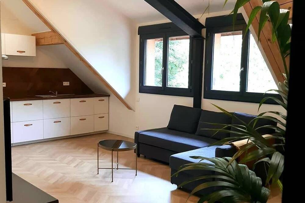 Appartement entier, Charmant Gîte à Muret proche Toulouse in Muret, Toulouse et ses environs