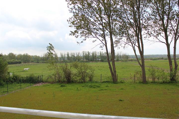 Ganze Wohnung, Schmidt's Koje in Börgerende, Börgerende-Rethwisch