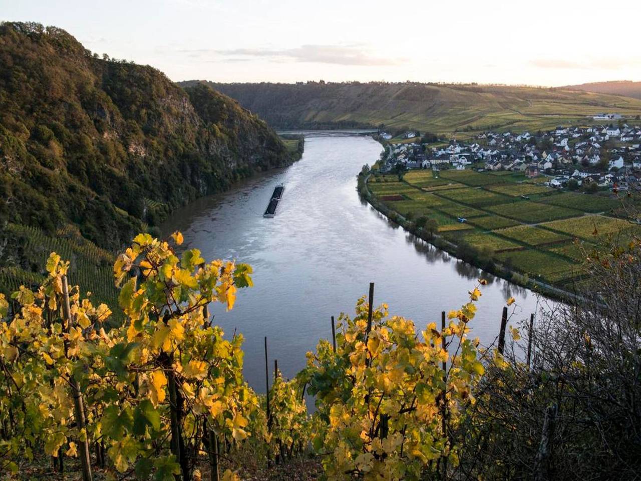 Ganze Ferienwohnung, Ferienwohnungen Weingut Breit - Appartement, Weingut Breit in Piesport, Bernkastel-Kues & Umgebung