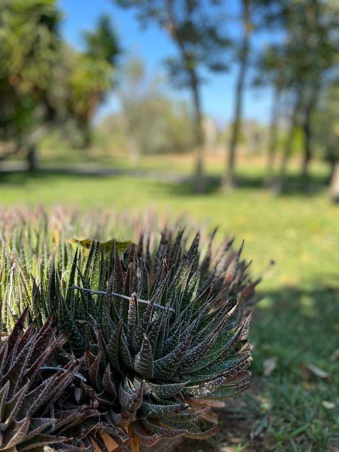 Li Papi in Galatone, Golf von Tarent