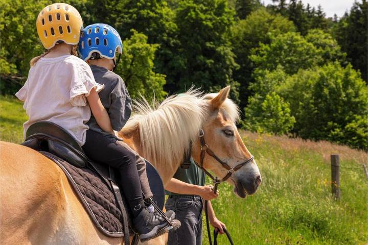 Ferienwohnung für 5 Personen, mit Pool und Ausblick sowie Garten in Weiler-Simmerberg - 3