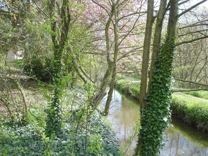 Chambre d’hôte pour 4 personnes, avec terrasse et jardin à Dol-de-Bretagne - 3