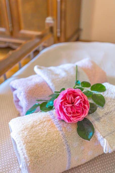 Chambre d’hôte pour 10 personnes, avec jardin ainsi que jacuzzi et piscine dans la Somme - 4