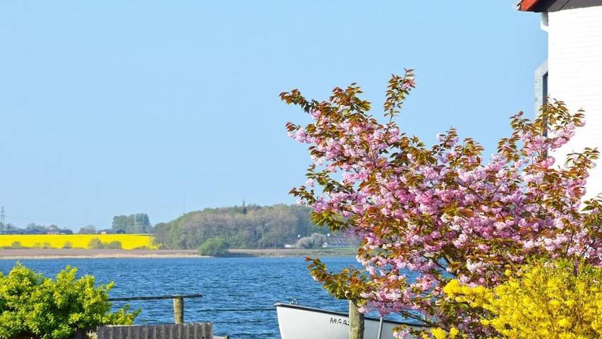 Ferienhaus für 3 Personen, mit Garten in Maasholm - 2