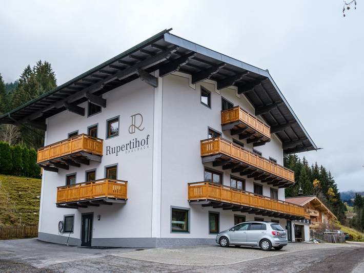 Gîte pour 12 personnes, avec balcon dans Saalbach-Hinterglemm-Leogang - 2