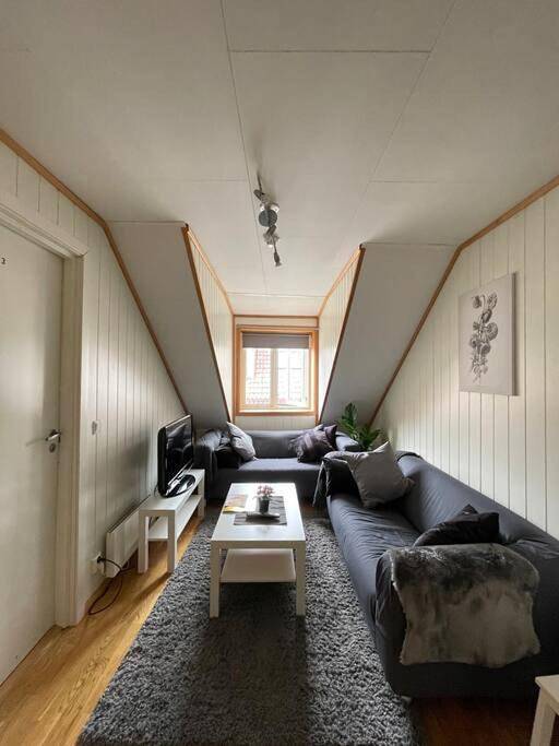 Appartement entier, City Center Stylish Loft in Trondheim