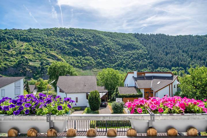 Entire apartment, Apartment "Julias Moselvilla Tony" with Mountain View, Balcony and Wi-Fi in Traben-Trarbach, Bernkastel-Kues region
