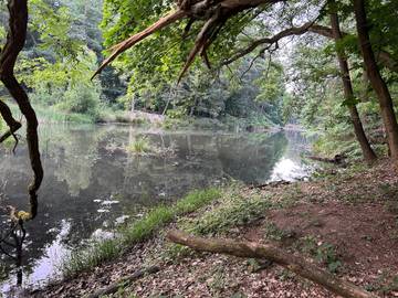 Boot für 2 Personen in Coswig (Anhalt), Sachsen-Anhalt, Bild 4