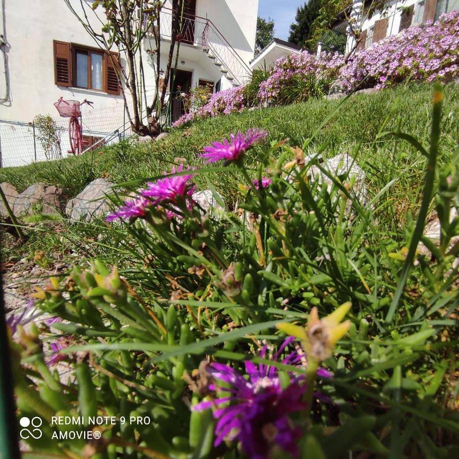 Appartement entier, One-Bedroom Apartment in Castello Tesino, Valsugana