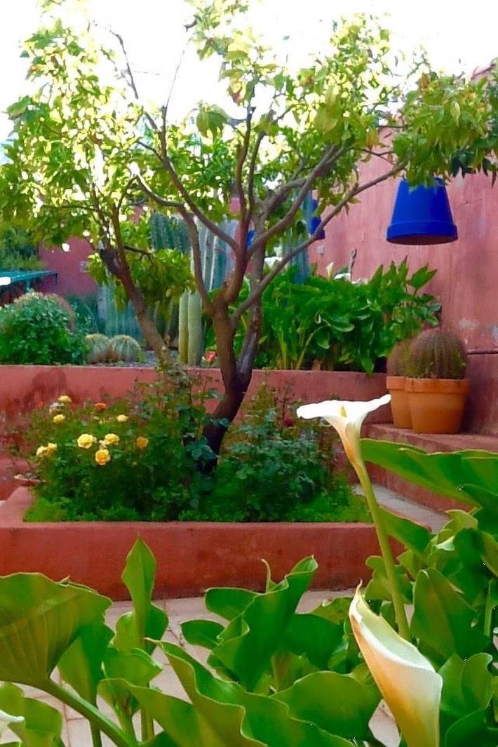 Finca mit Garten, Grill und Terrasse in Era de Mota, Valsequillo de Gran Canaria