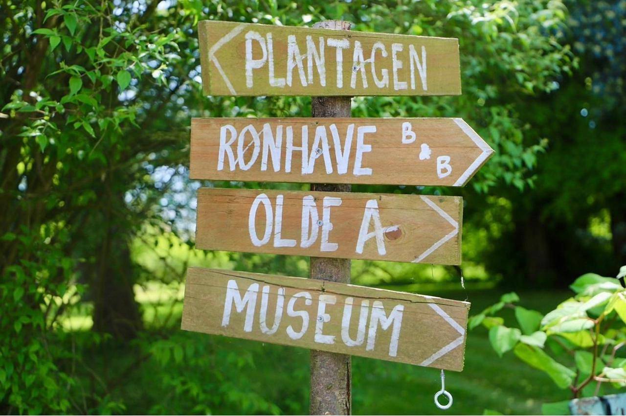 Green Glamping in Sonderburg, Flensburger Förde (Dänemark)