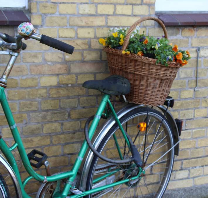 Ferienwohnung für 4 Personen, mit Garten in Eider-Treene-Sorge - 4
