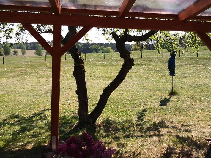Ferienhaus für 4 Personen, mit Terrasse und Garten, mit Haustier in Zislow - 4