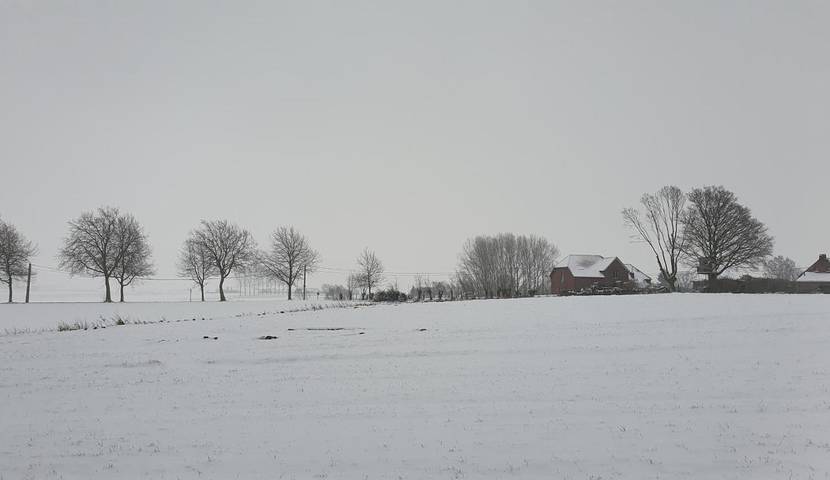 Location de vacances pour 12 personnes, avec terrasse et piscine ainsi que jardin et vue dans Kemmel - 3