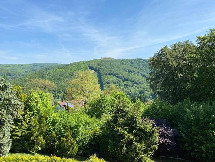 Villa für 4 Personen, mit Sauna und Ausblick sowie Garten in Wien - 3
