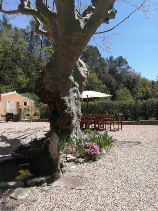 Location de vacances pour 22 personnes, avec terrasse et jardin ainsi que vue et piscine à Brignoles - 3