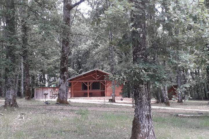 Chalet pour 2 personnes, avec terrasse et jardin, animaux acceptés - 1