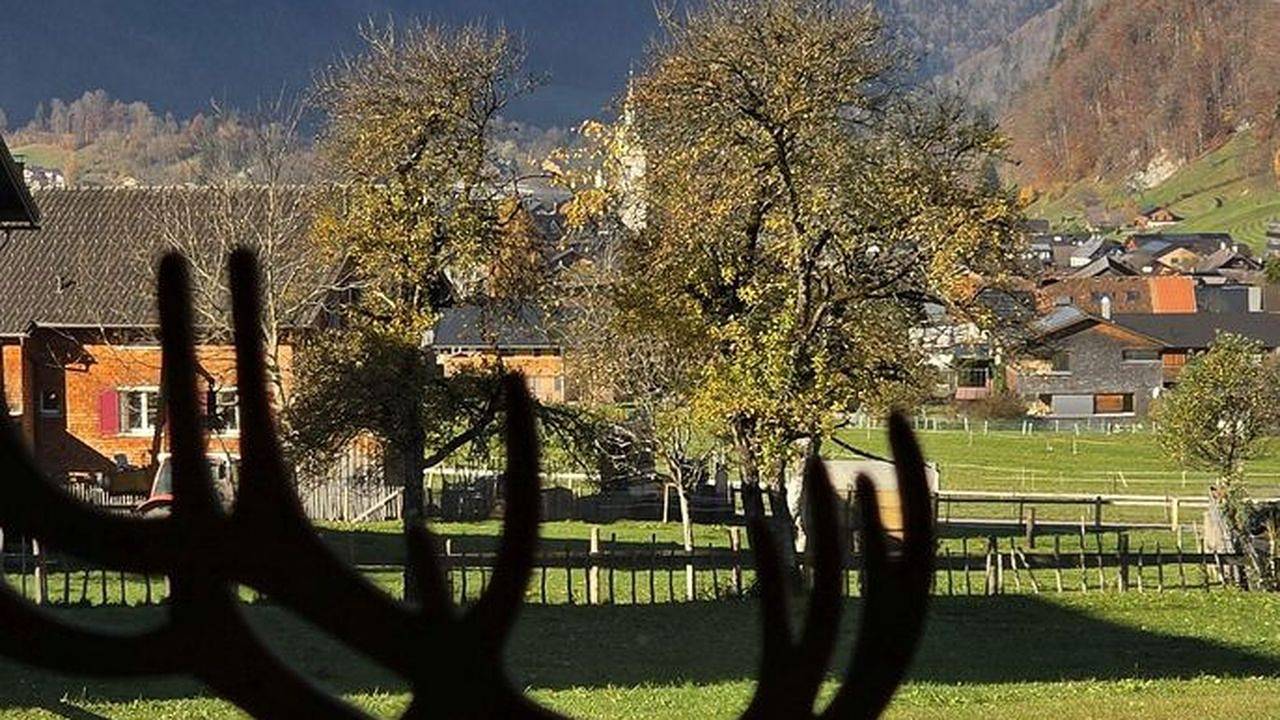 Ganze Ferienwohnung, Ferienwohnung für 4 Personen (70 m²) in Bezau in Bezau, Bregenzerwald