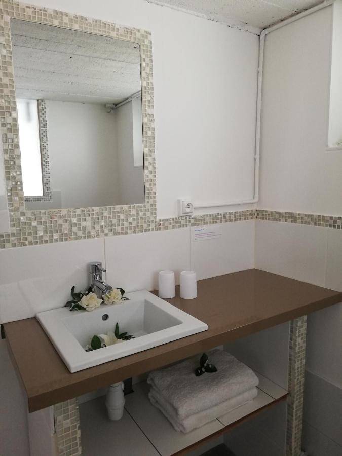 Location de vacances pour 2 personnes, avec terrasse et jardin à Olivet - 3