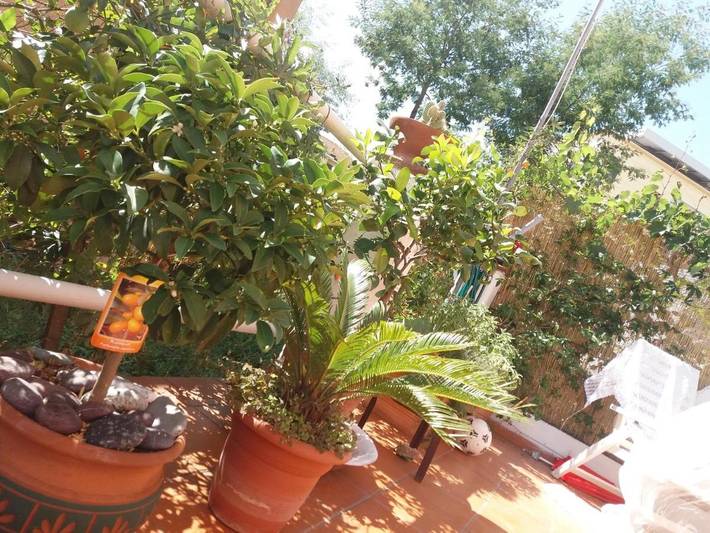Vakantiewoning voor 4 personen, met tuin, kindvriendelijk in La Spezia