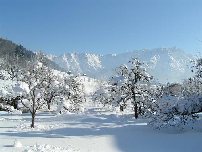 Bauernhof für 3 Personen, mit Garten und Terrasse in Saalbach-Hinterglemm-Leogang - 4
