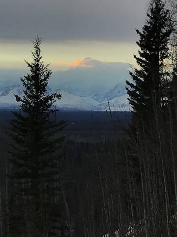 Chalet für 6 Personen in Alaska, USA, Bild 2