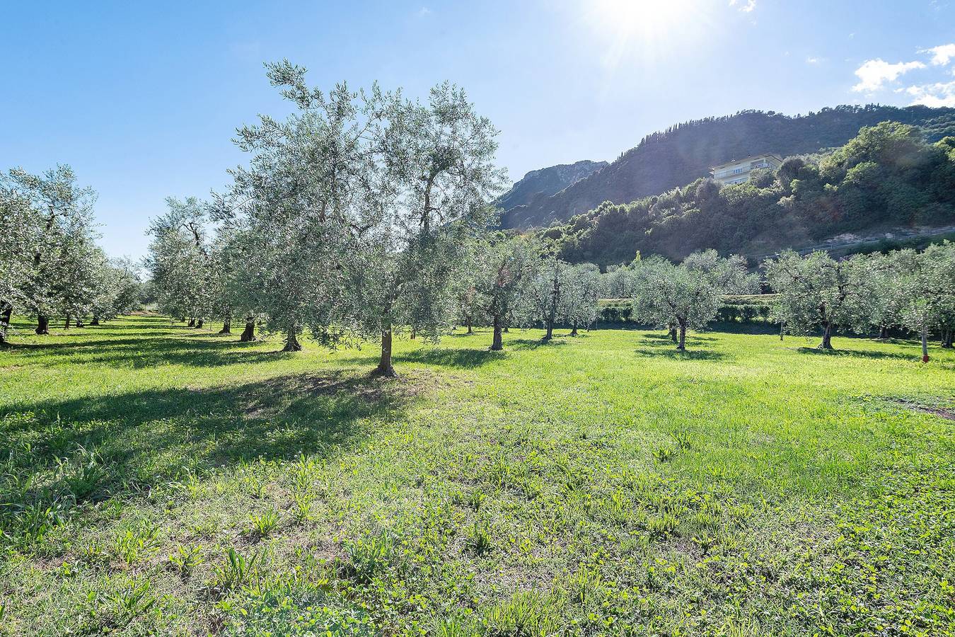 Appartamento intero, Appartamento 'Primula' con Vista Lago, Wi-Fi e Aria Condizionata in Gargnano, Prealpi Gardesane