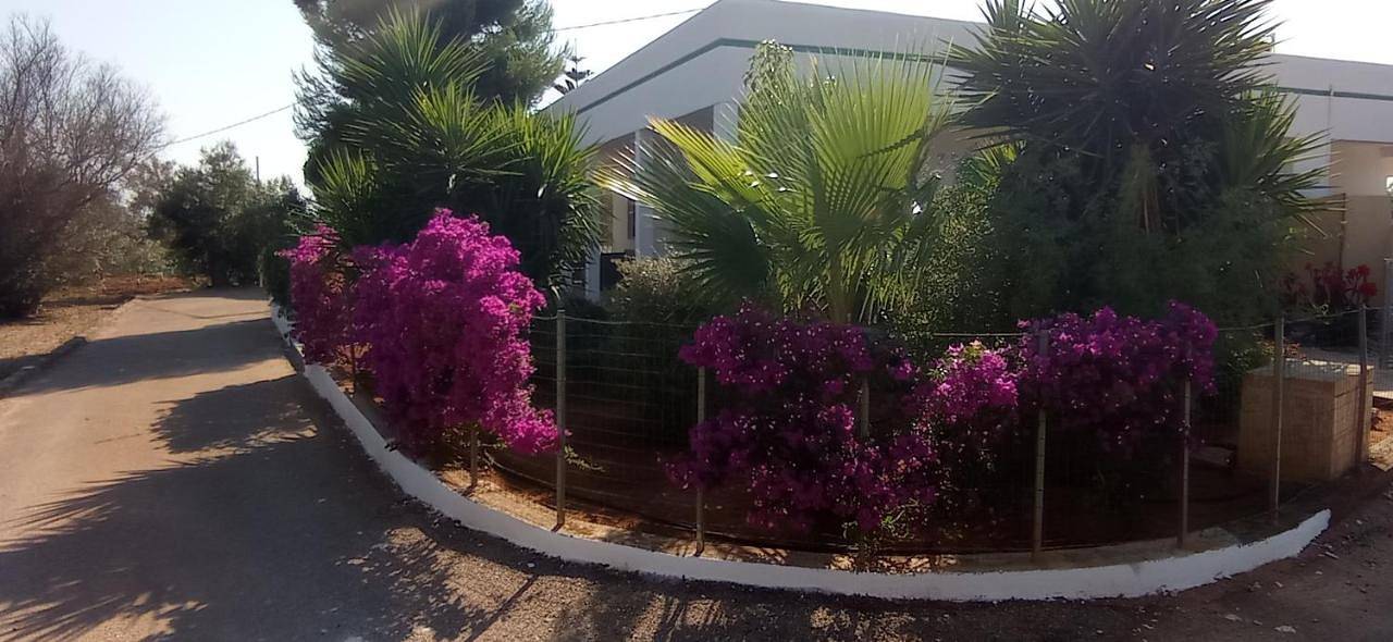 L'Oasi in Alliste, Golfo di Taranto