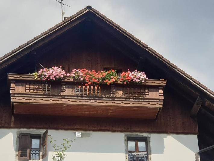 Gîte pour 5 personnes, avec terrasse ainsi que vue et jardin à Ovaro - 4