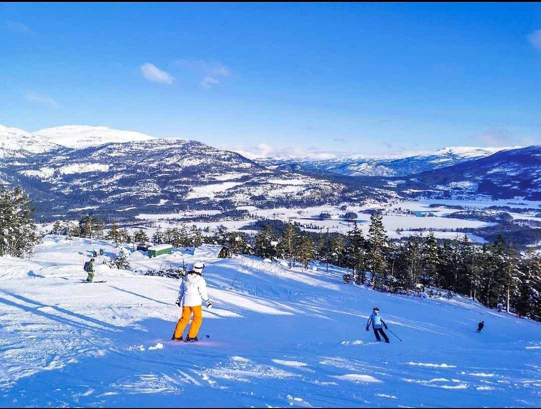 Einzigartige Loft-Hütte im schönen Vrådal in Vrådal, Kviteseid