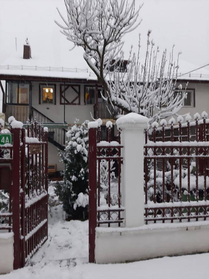Gîte pour 2 personnes, avec vue et jardin à Sinaia - 2