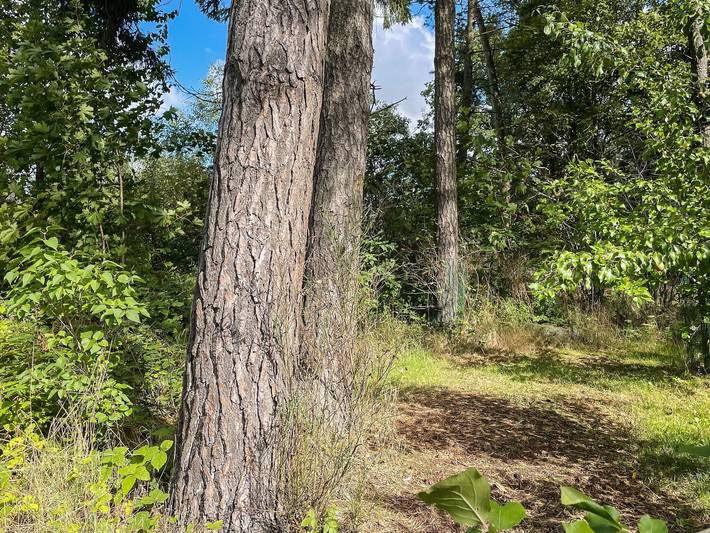 4 personer fritidhus i Smedstorp in Österlen