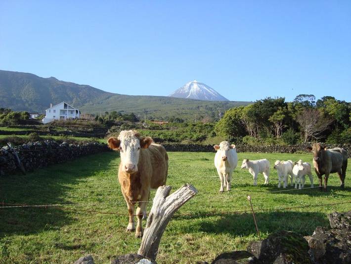 Casa de férias para 4 pessoas, com Varanda e Terraço e ainda Jardim and Vista em São Roque do Pico
