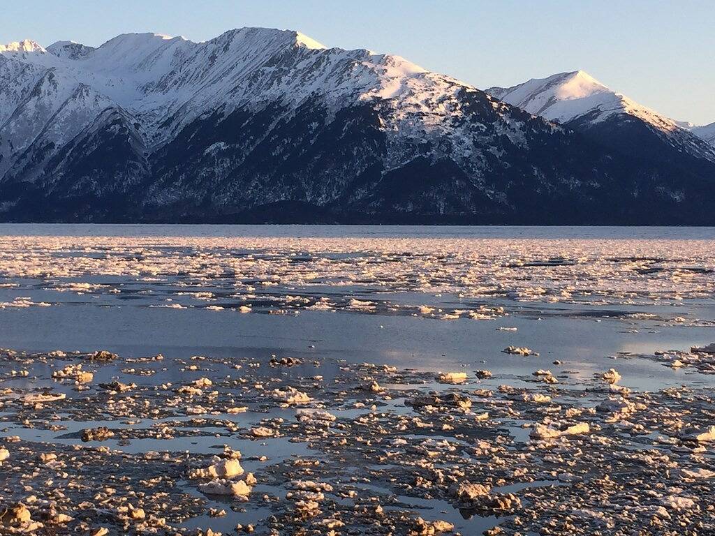 Ganze Wohnung, Kundenspezifisches Blockhaus in Girdwood, Alaska in Girdwood, Anchorage